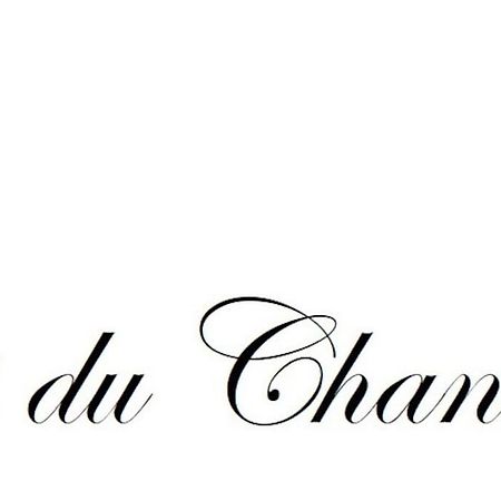 Logis Du Chandelier Le Puy-en-Velay Exterior foto