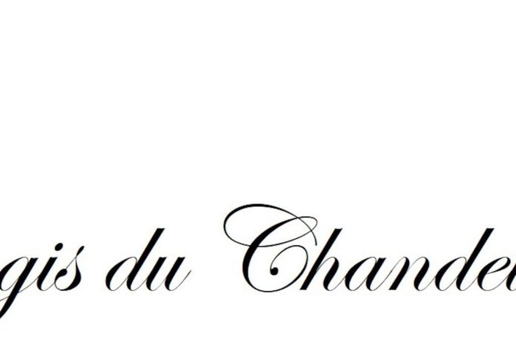 Logis Du Chandelier Le Puy-en-Velay Exterior foto